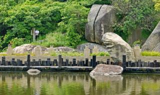 珠海横琴岛 珠海横琴岛